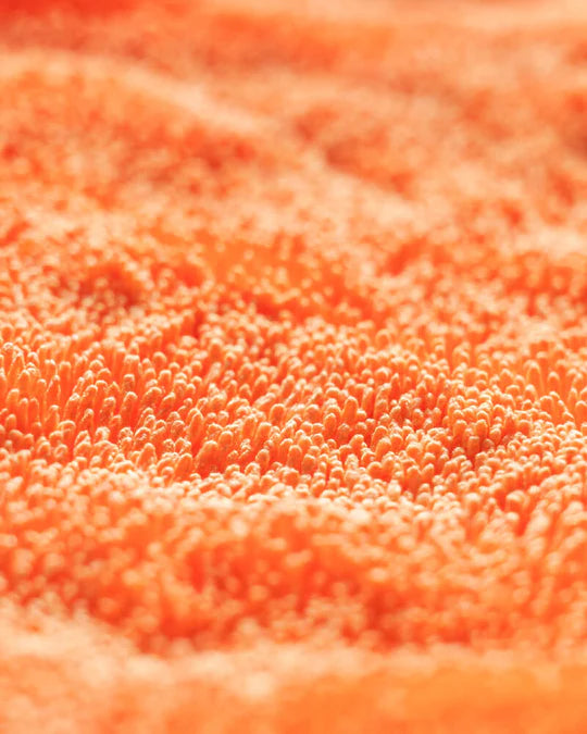 PRE-ORDER CarPro Dhydrate Bold 1000GSM